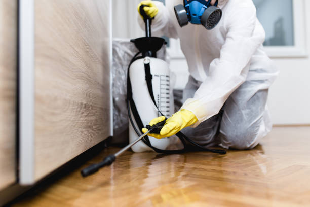 Best Residential Pest Control  in Waukon, IA