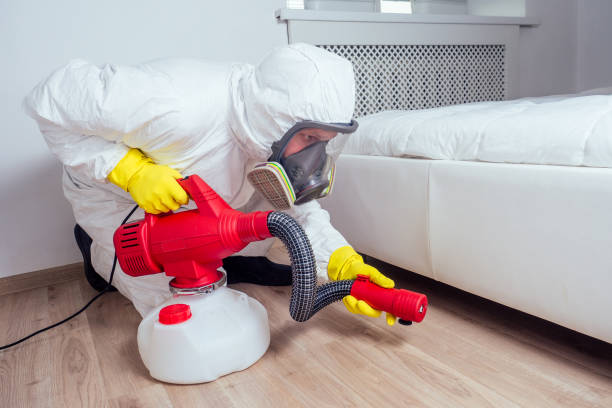 Best Best Pest Control Companies  in Waukon, IA