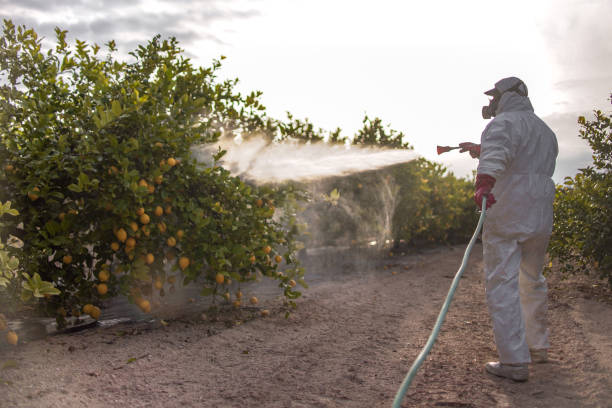 Best Pest Control for Homes  in Waukon, IA