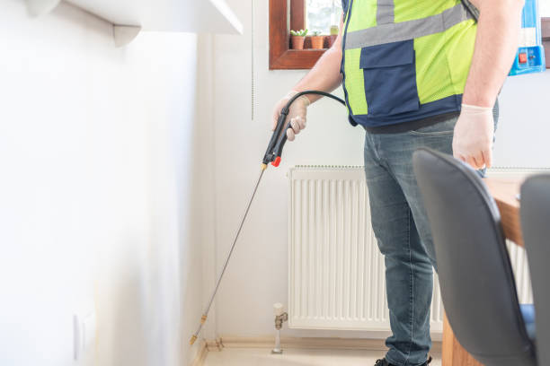 Flea Control Services in Waukon, IA