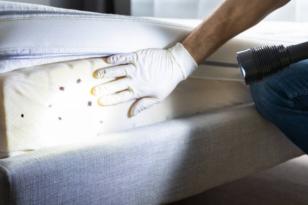 Waukon, IA Pest Control Company