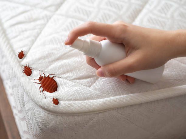 Best Commercial Pest Control Services  in Waukon, IA