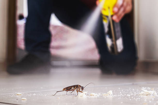 Best Pest Prevention Services  in Waukon, IA